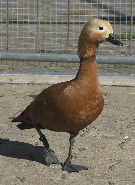 以检查和验