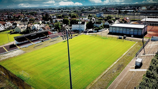 追平博斯克 追平博斯克